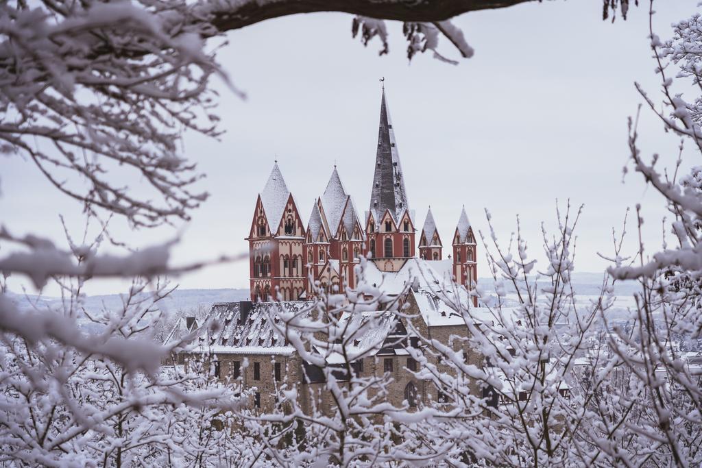 Dom Limburg