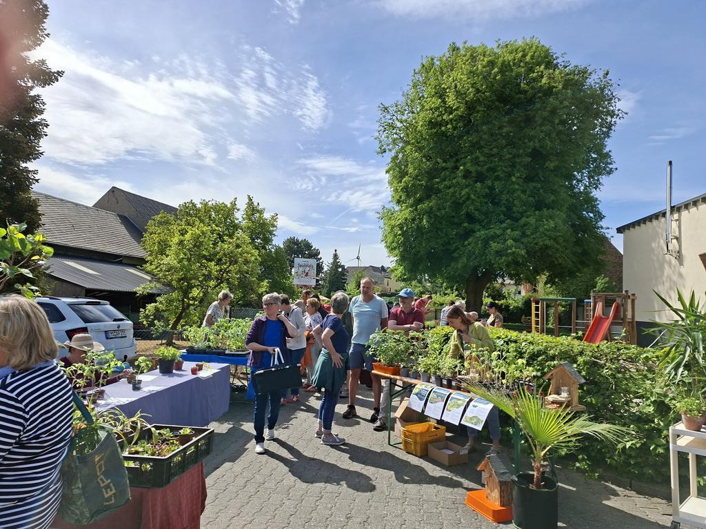 Pflanzenbörse Obst- und Gartenbauverein Lindenholzhausen